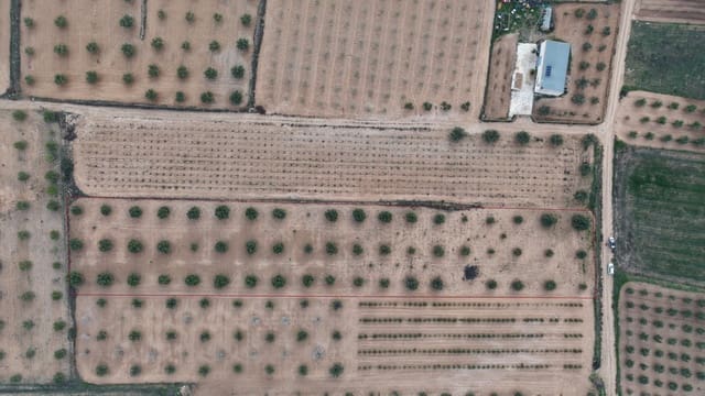 Undeveloped Land for sale in Jumilla - € 20,000 (Ref: 9711110)