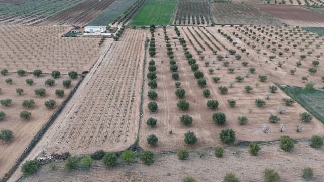 Undeveloped Land for sale in Jumilla - € 20,000 (Ref: 9711110)