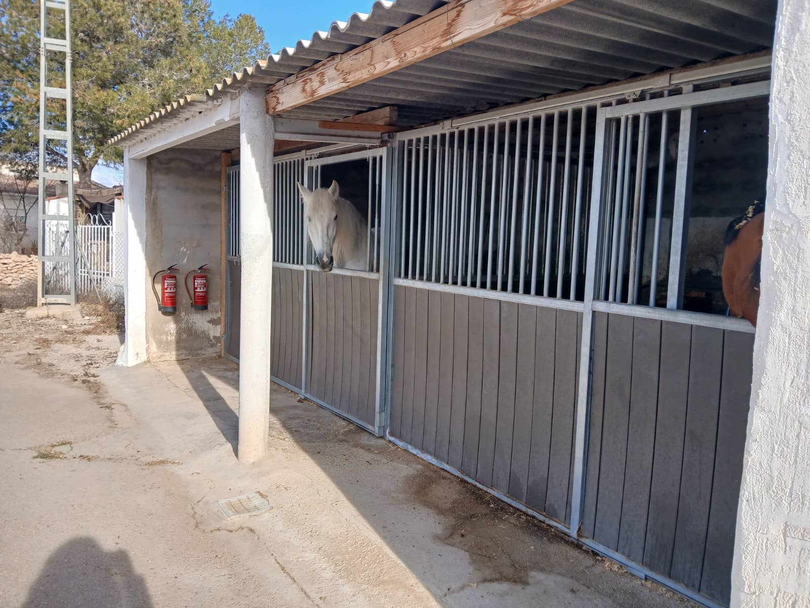 3 makuuhuone Maalaistalo myytävänä paikassa Monovar / Monover mukana uima-altaan 
autotalli - 199 995 € (Ref: 9711112)