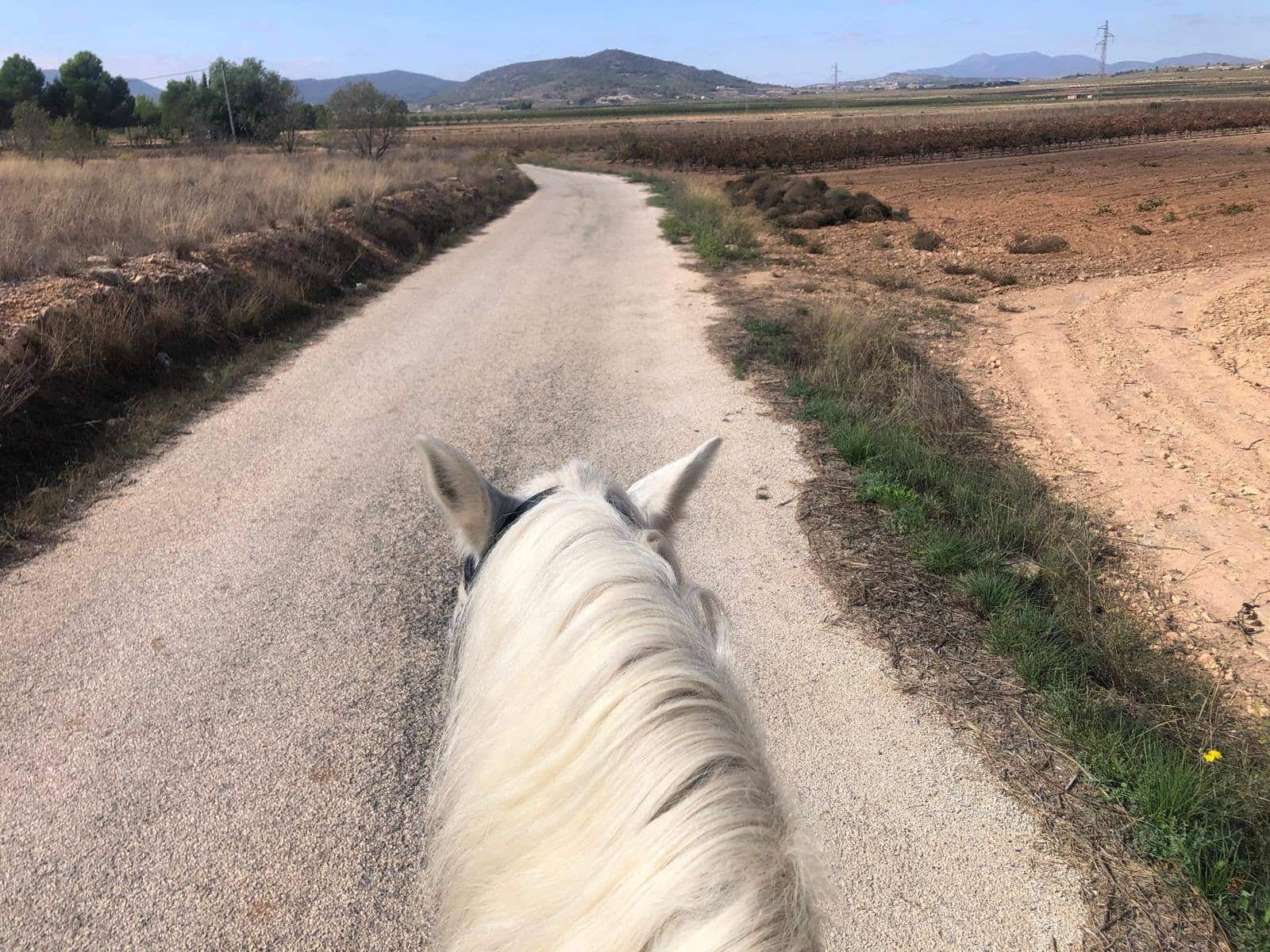 3 makuuhuone Maalaistalo myytävänä paikassa Monovar / Monover mukana uima-altaan 
autotalli - 199 995 € (Ref: 9711112)