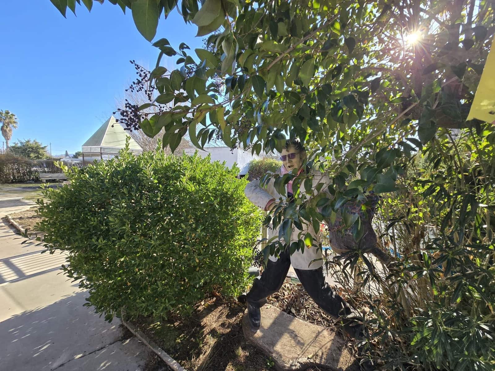 7 bedroom Villa for sale in Villena with pool - € 149,995 (Ref: 9736180)