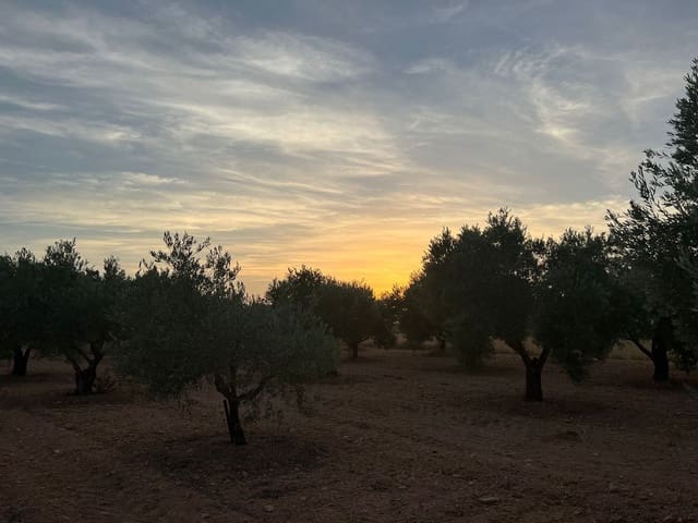 4 sypialnia Willa na sprzedaż w Yecla z basenem - 149 995 € (Ref: 9741499)