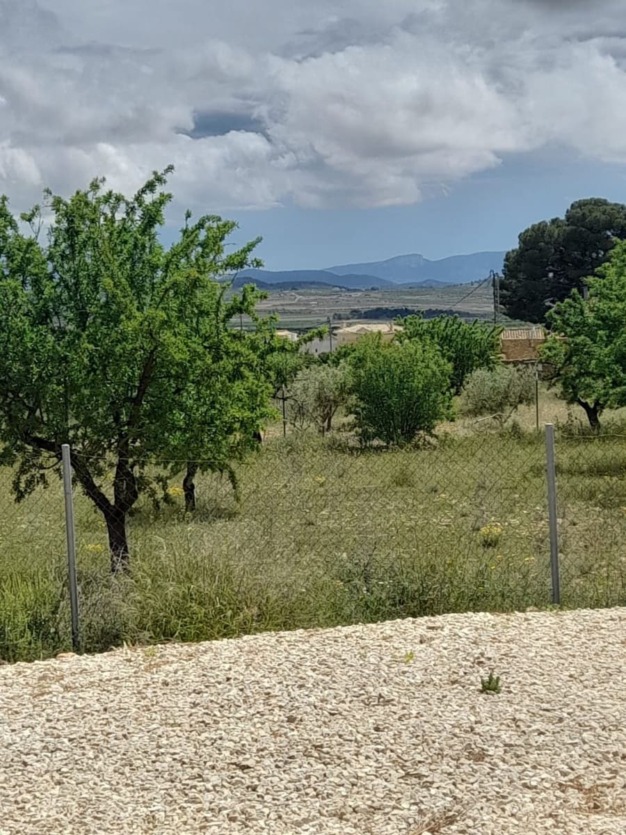 3 bedroom Villa for sale in Pinoso with pool garage - € 299,995 (Ref: 9761684)