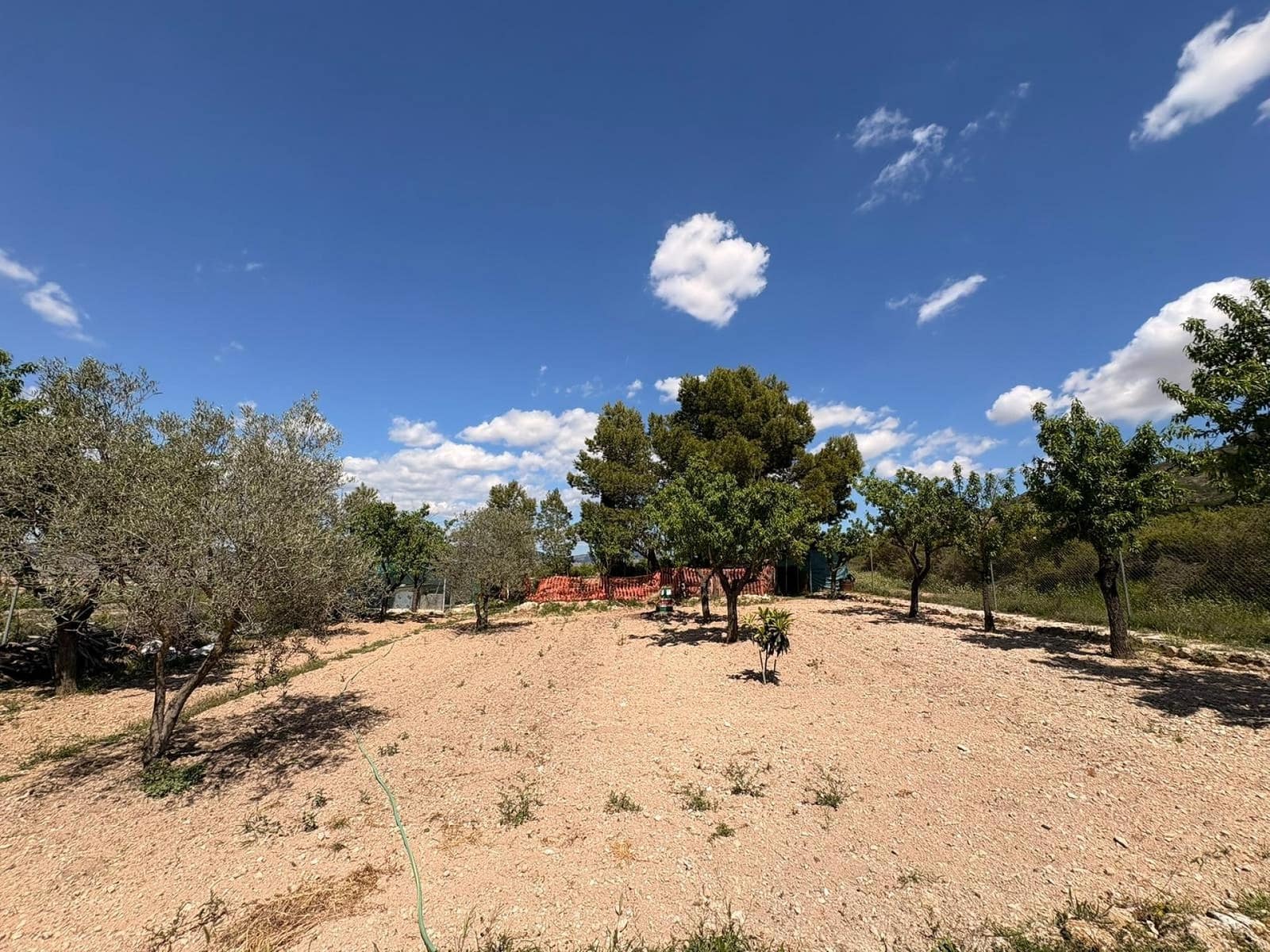 3 slaapkamer Villa te koop in Yecla met zwembad garage - € 149.995 (Ref: 9784494)