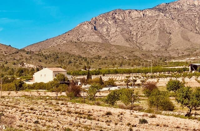 5 Zimmer Finca/Landgut zu verkaufen in El Cantón, Abanilla mit Pool - 475.000 € (Ref: 9784498)