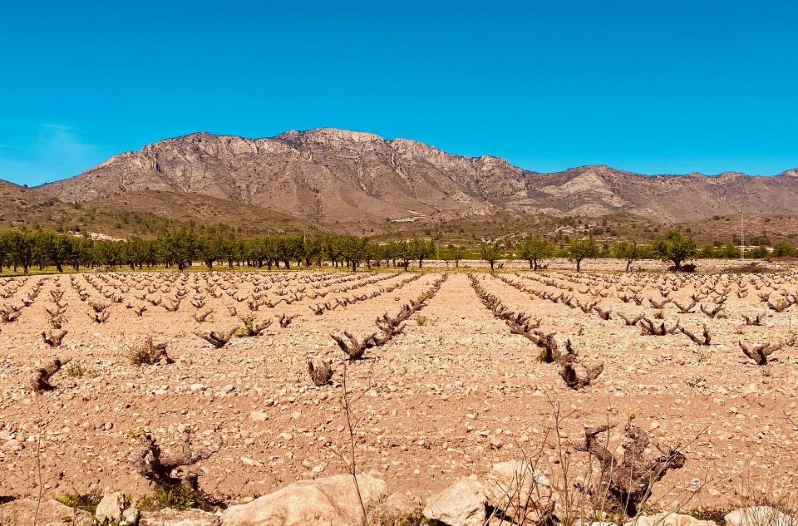 5 chambre Finca/Maison de Campagne à vendre à El Canton avec piscine - 475 000 € (Ref: 9784498)