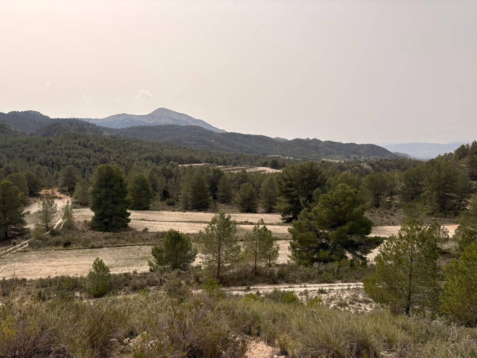 Terreno/Finca Rústica en Petrel / Petrer en venta - 106.000 € (Ref: 9784499)