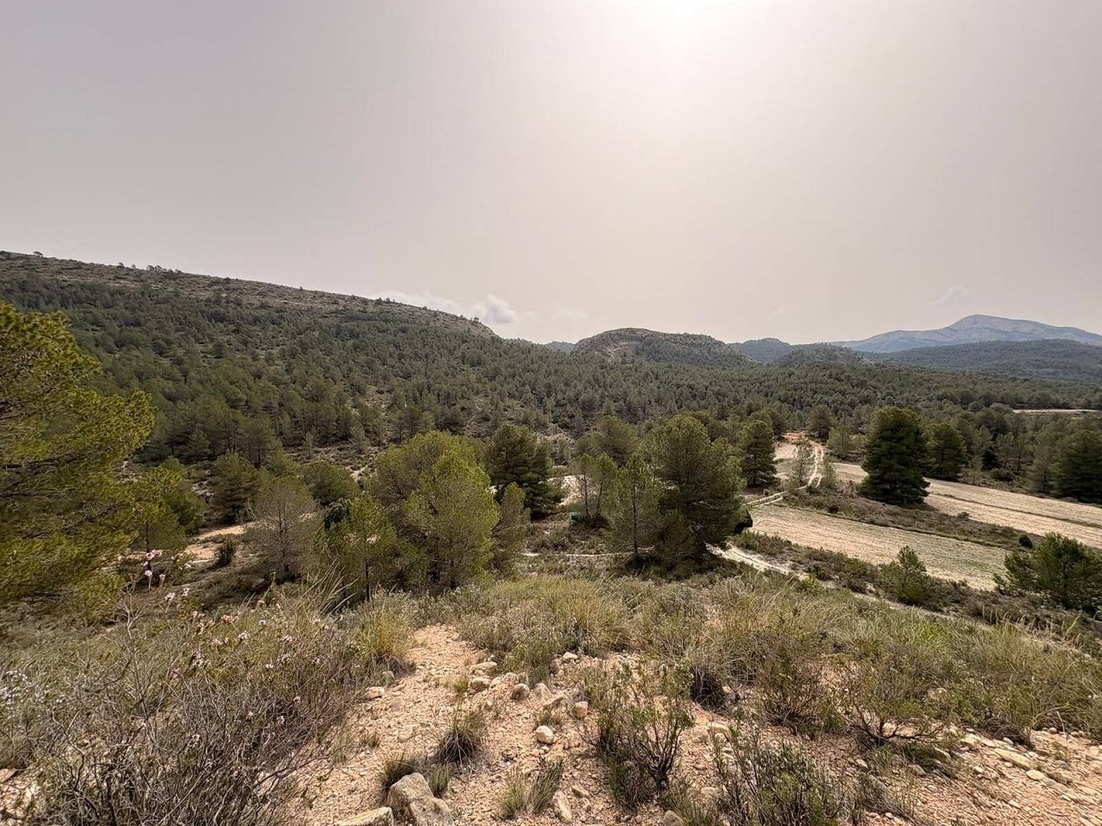 Terreno/Finca Rústica en Petrel / Petrer en venta - 106.000 € (Ref: 9784499)