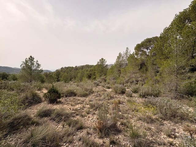 Terreno/Finca Rústica en Petrel / Petrer en venta - 106.000 € (Ref: 9784499)