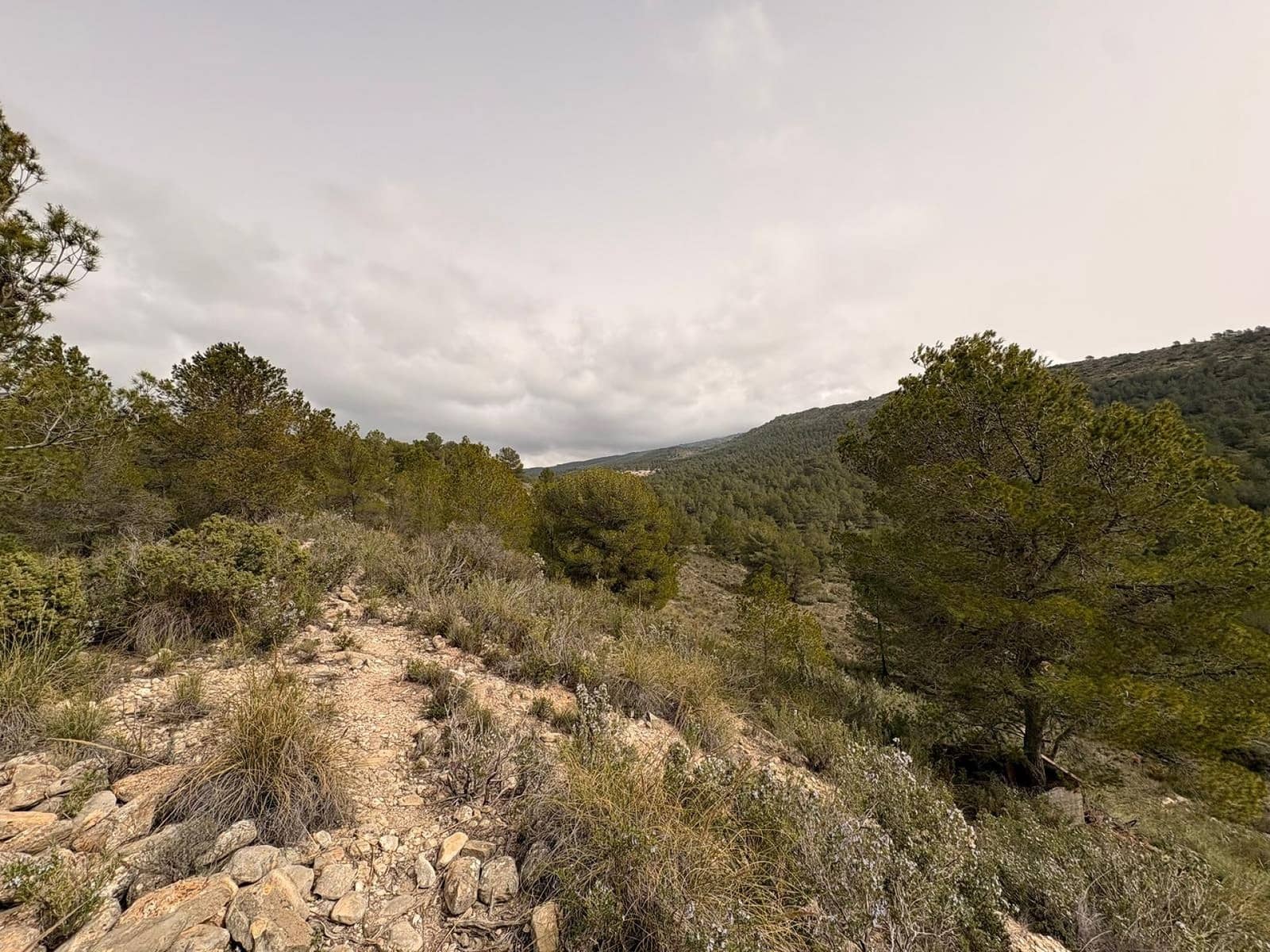 Terreno/Finca Rústica en Petrel / Petrer en venta - 106.000 € (Ref: 9784499)