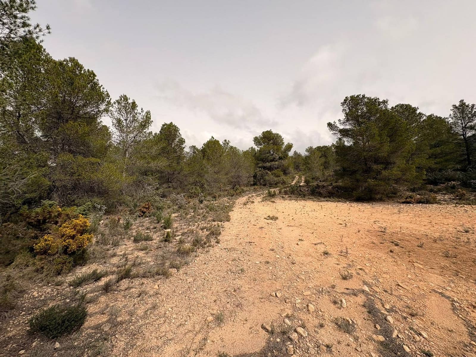 Terreno/Finca Rústica en Petrel / Petrer en venta - 106.000 € (Ref: 9784499)