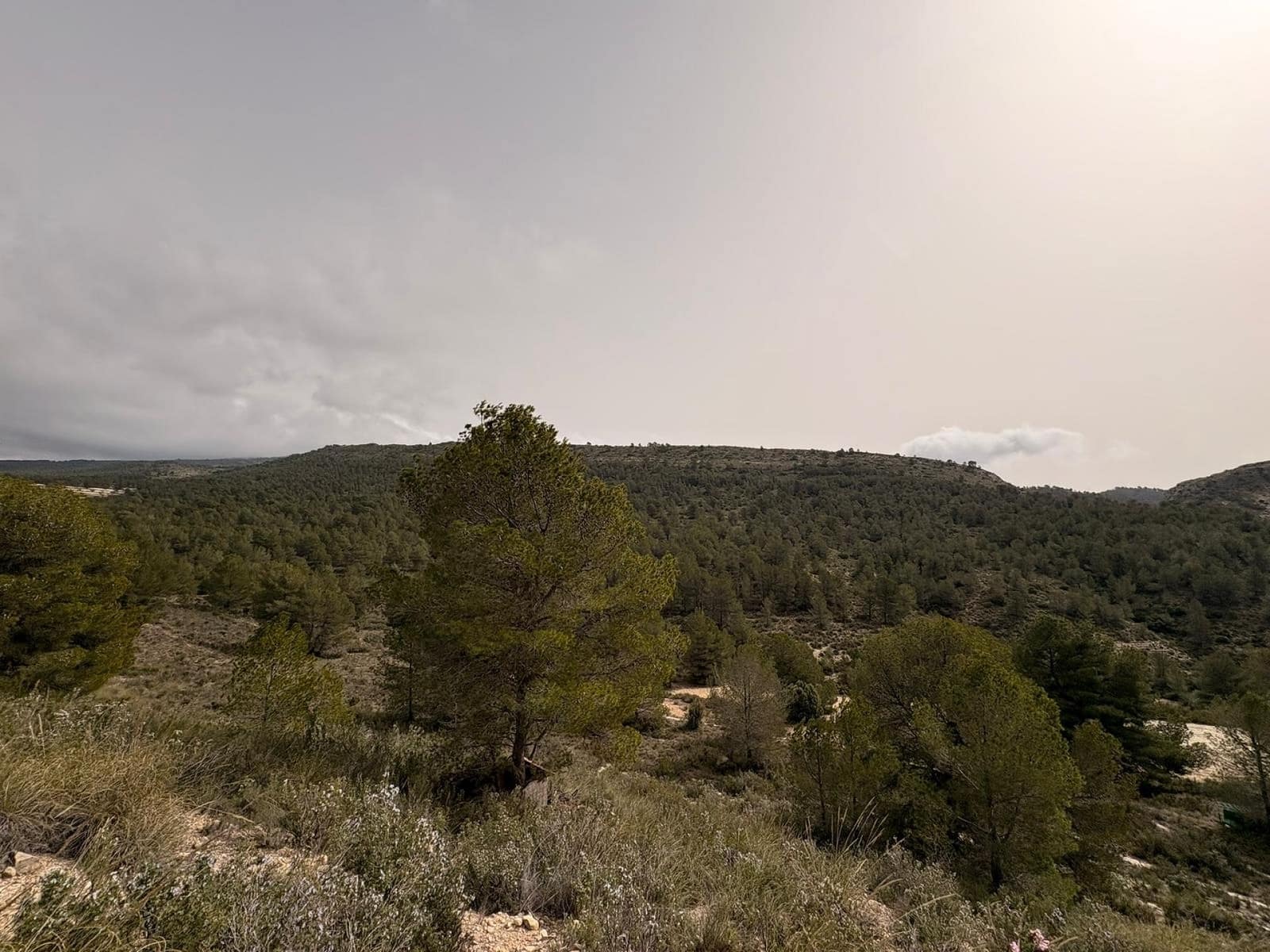Terreno/Finca Rústica en Petrel / Petrer en venta - 106.000 € (Ref: 9784499)