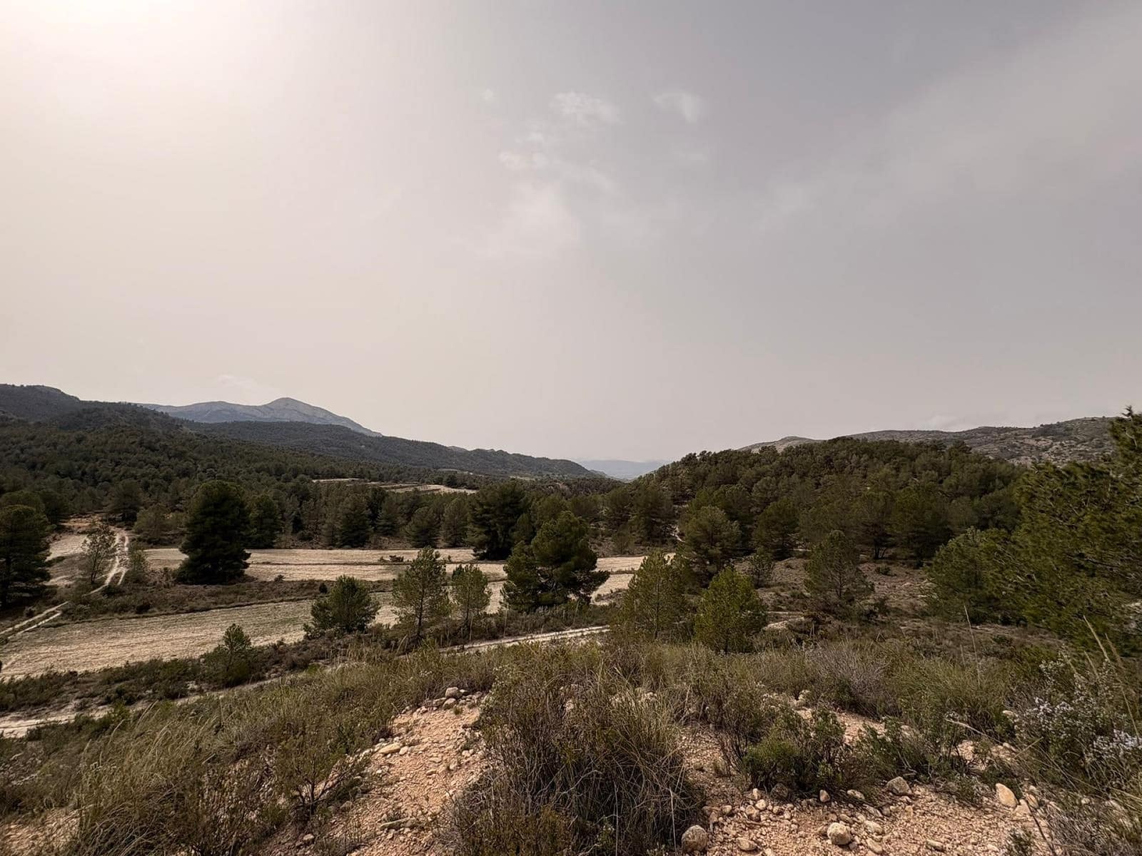 Terreno/Finca Rústica en Petrel / Petrer en venta - 106.000 € (Ref: 9784499)