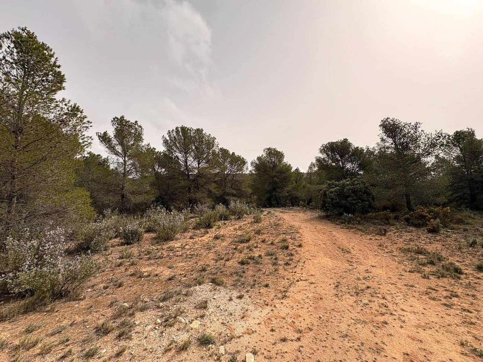 Terreno/Finca Rústica en Petrel / Petrer en venta - 106.000 € (Ref: 9784499)