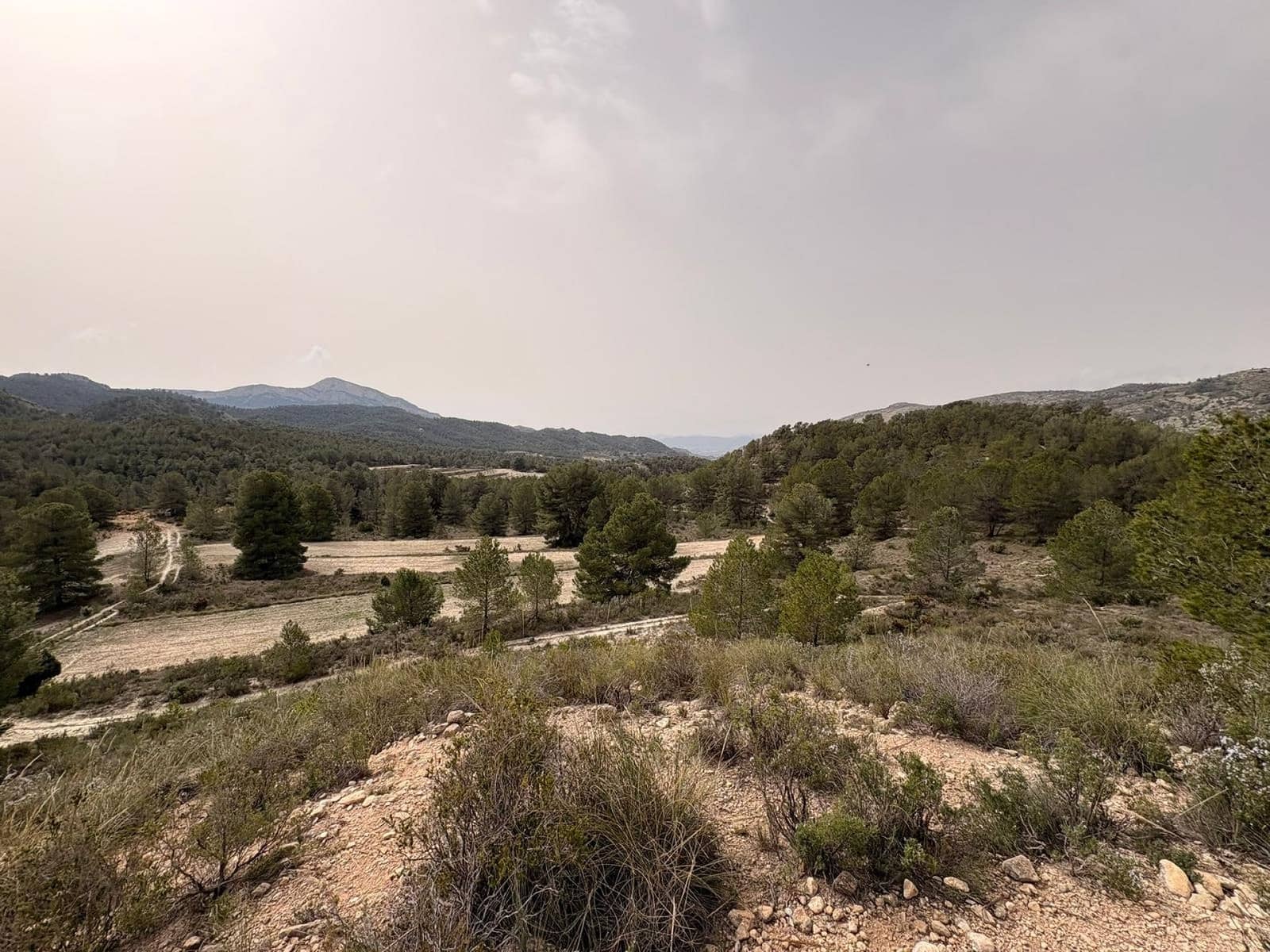 Terreno/Finca Rústica en Petrel / Petrer en venta - 106.000 € (Ref: 9784499)