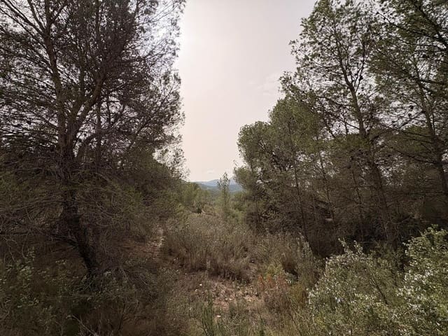 Terreno/Finca Rústica en Petrel / Petrer en venta - 106.000 € (Ref: 9784499)