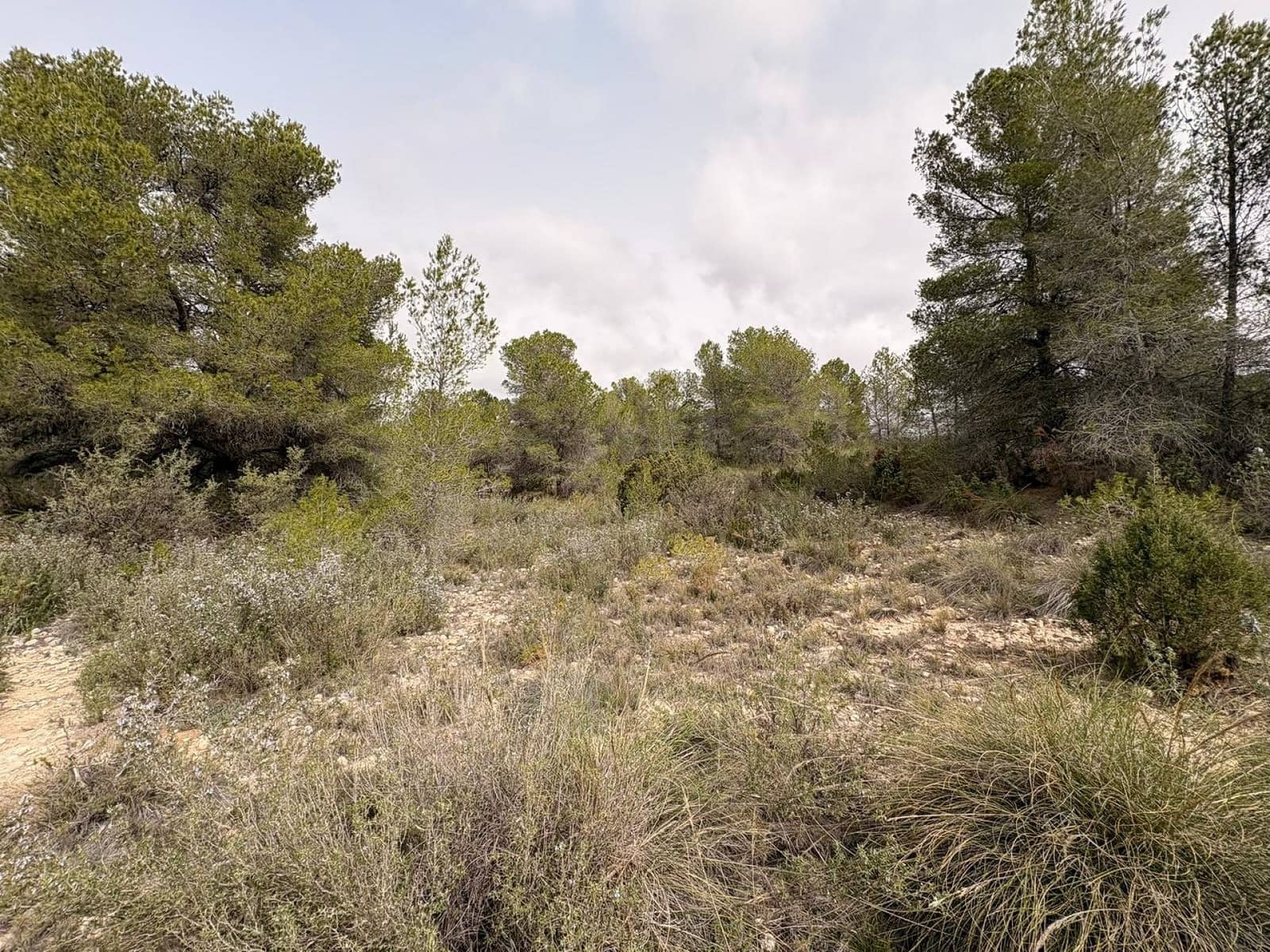 Terreno/Finca Rústica en Petrel / Petrer en venta - 106.000 € (Ref: 9784499)