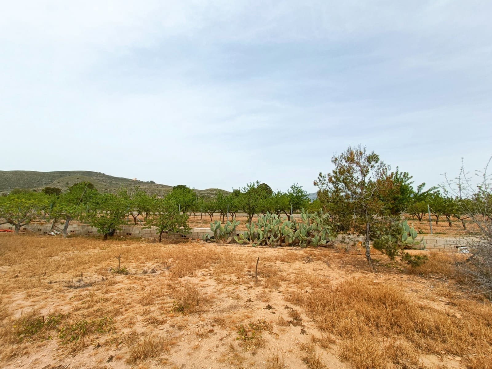 Chalet de 4 habitaciones en Hondón de los Frailes en venta - 180.000 € (Ref: 9790252)