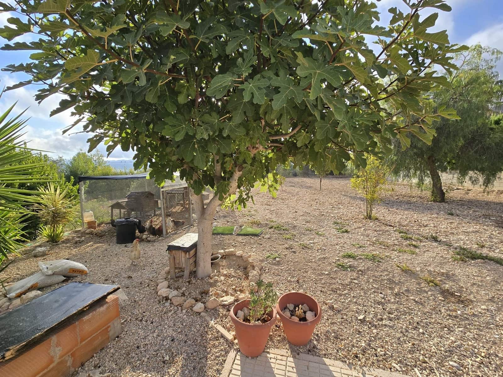 5 camera da letto Villa in vendita in Sax con piscina - 375.000 € (Rif: 9793374)