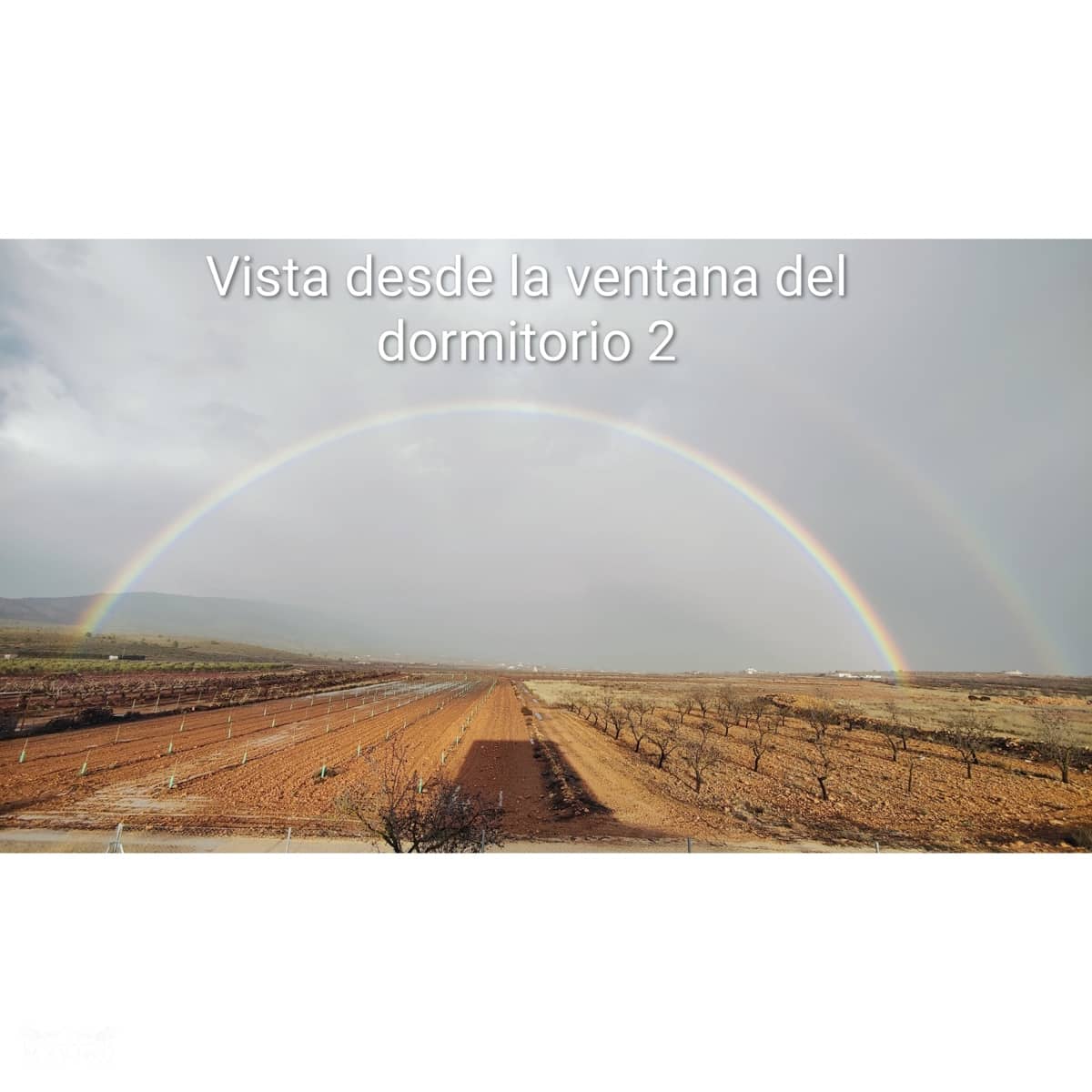 4 bedroom Villa for sale in Pinoso with pool - € 210,000 (Ref: 9796277)