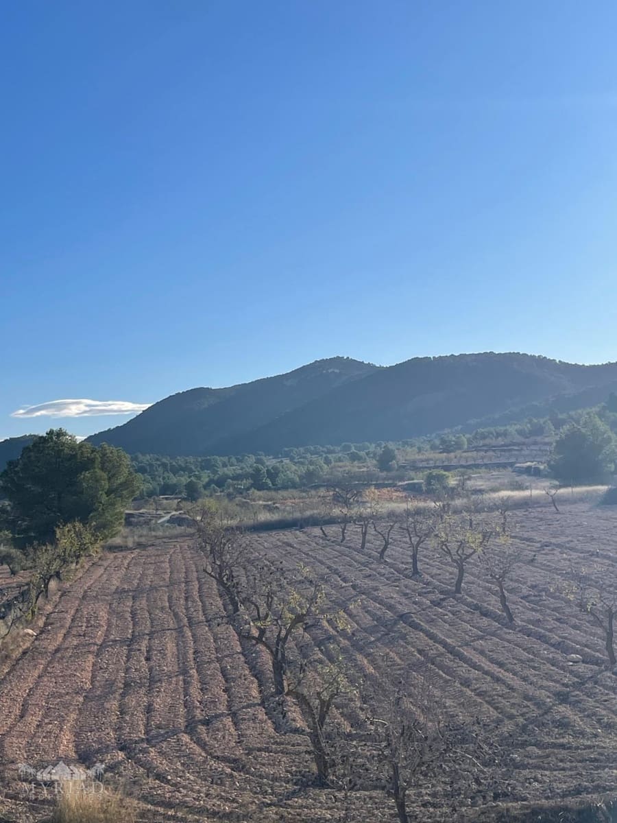 6 bedroom Villa for sale in Encebras with pool - € 649,995 (Ref: 9800351)