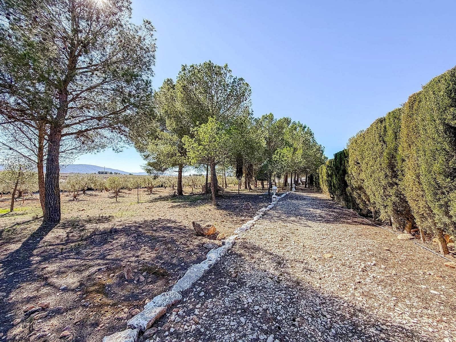 6 soveværelse Finca/Landehus til salg i Pinoso med swimmingpool garage - € 367.000 (Ref: 9803921)