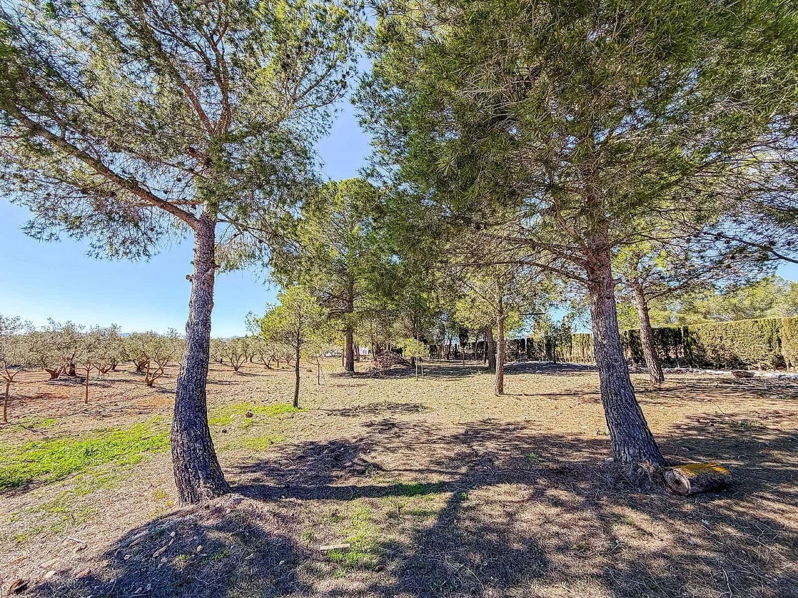 6 soveværelse Finca/Landehus til salg i Pinoso med swimmingpool garage - € 367.000 (Ref: 9803921)