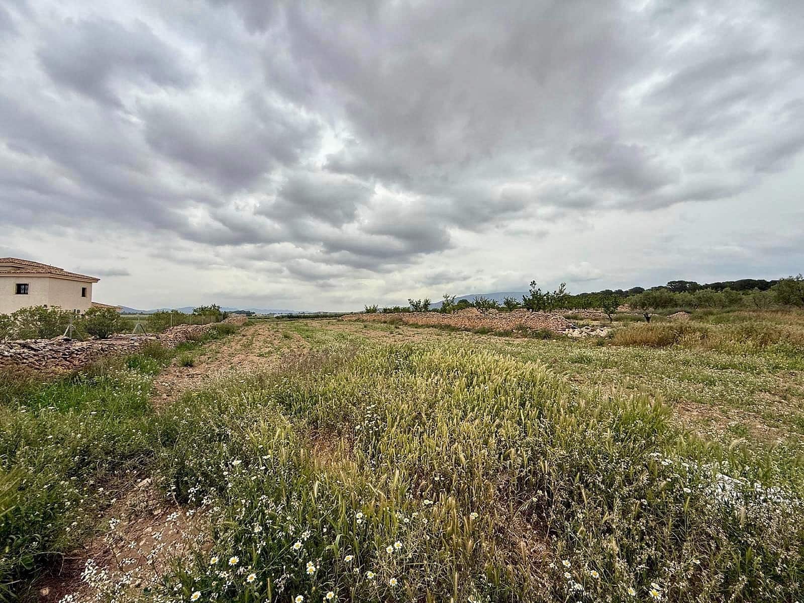 4 Zimmer Villa zu verkaufen in Lel mit Pool - 420.000 € (Ref: 9806102)