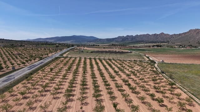 Undeveloped Land for sale in Yecla - € 48,000 (Ref: 9807659)