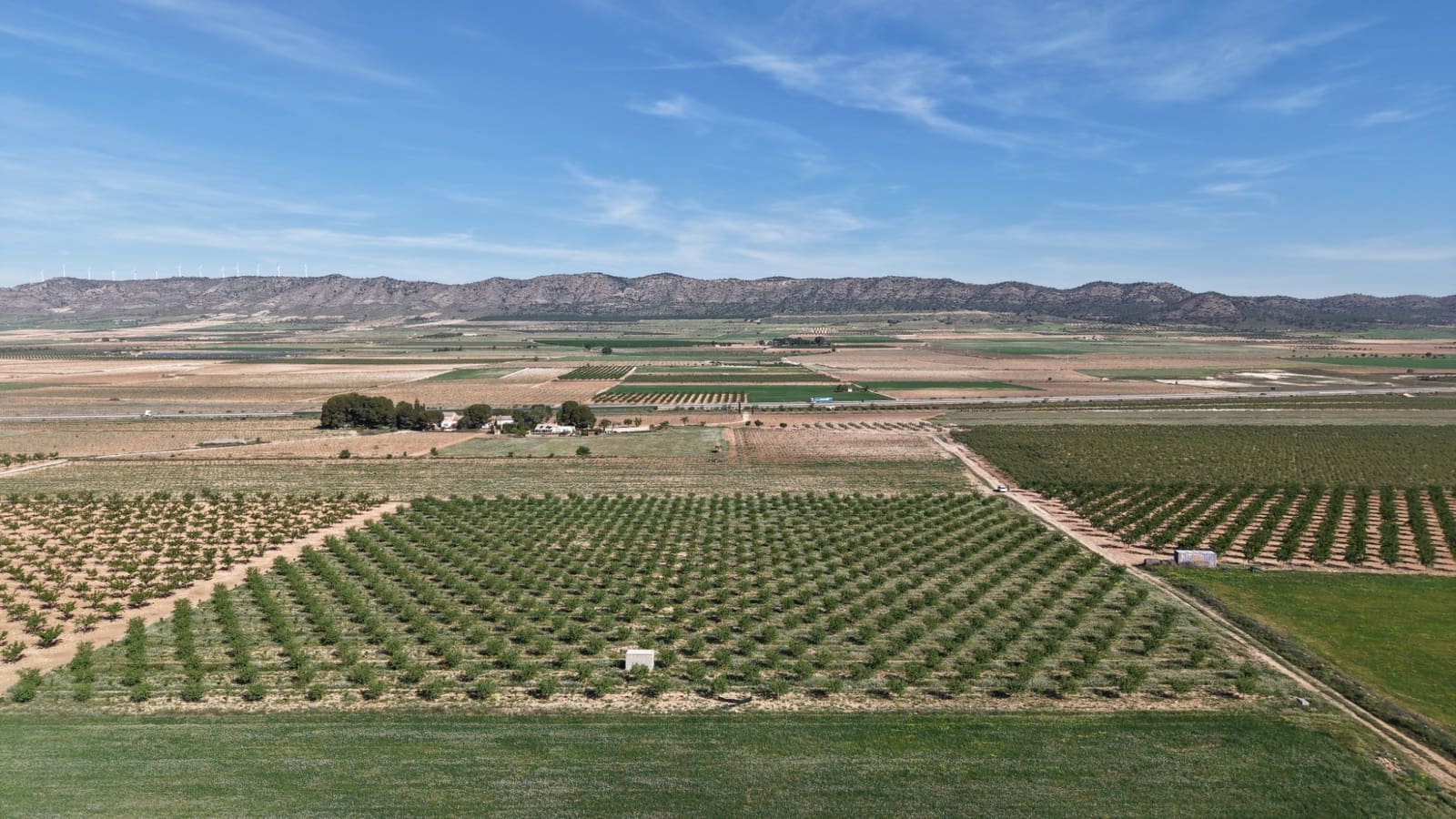 Undeveloped Land for sale in Yecla - € 50,000 (Ref: 9807660)