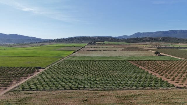 Undeveloped Land for sale in Yecla - € 50,000 (Ref: 9807660)