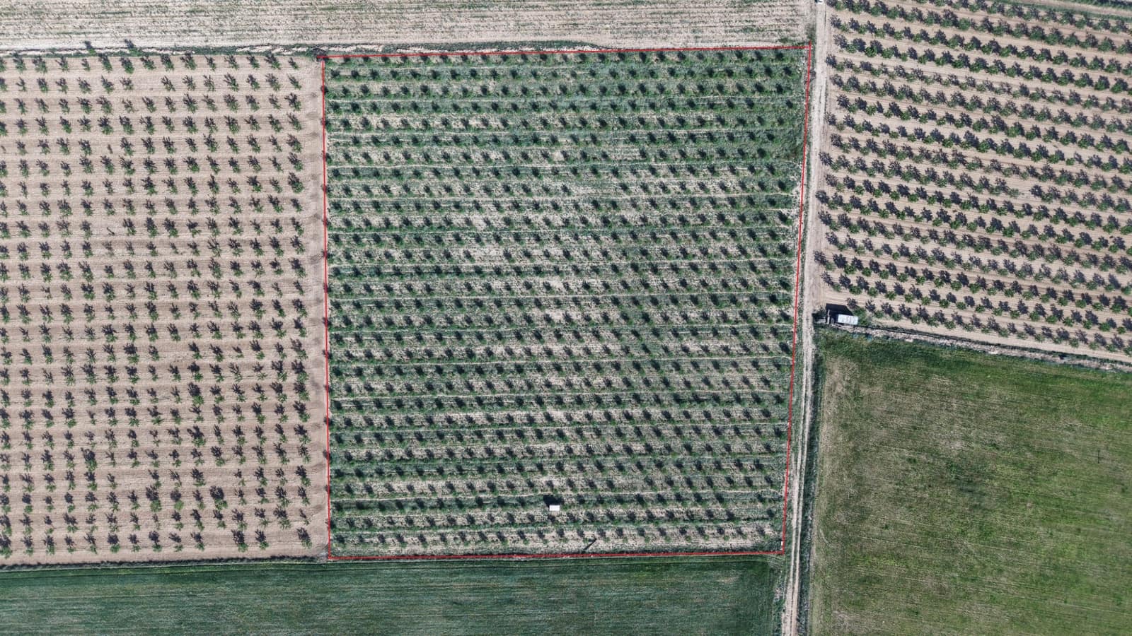 Undeveloped Land for sale in Yecla - € 50,000 (Ref: 9807660)