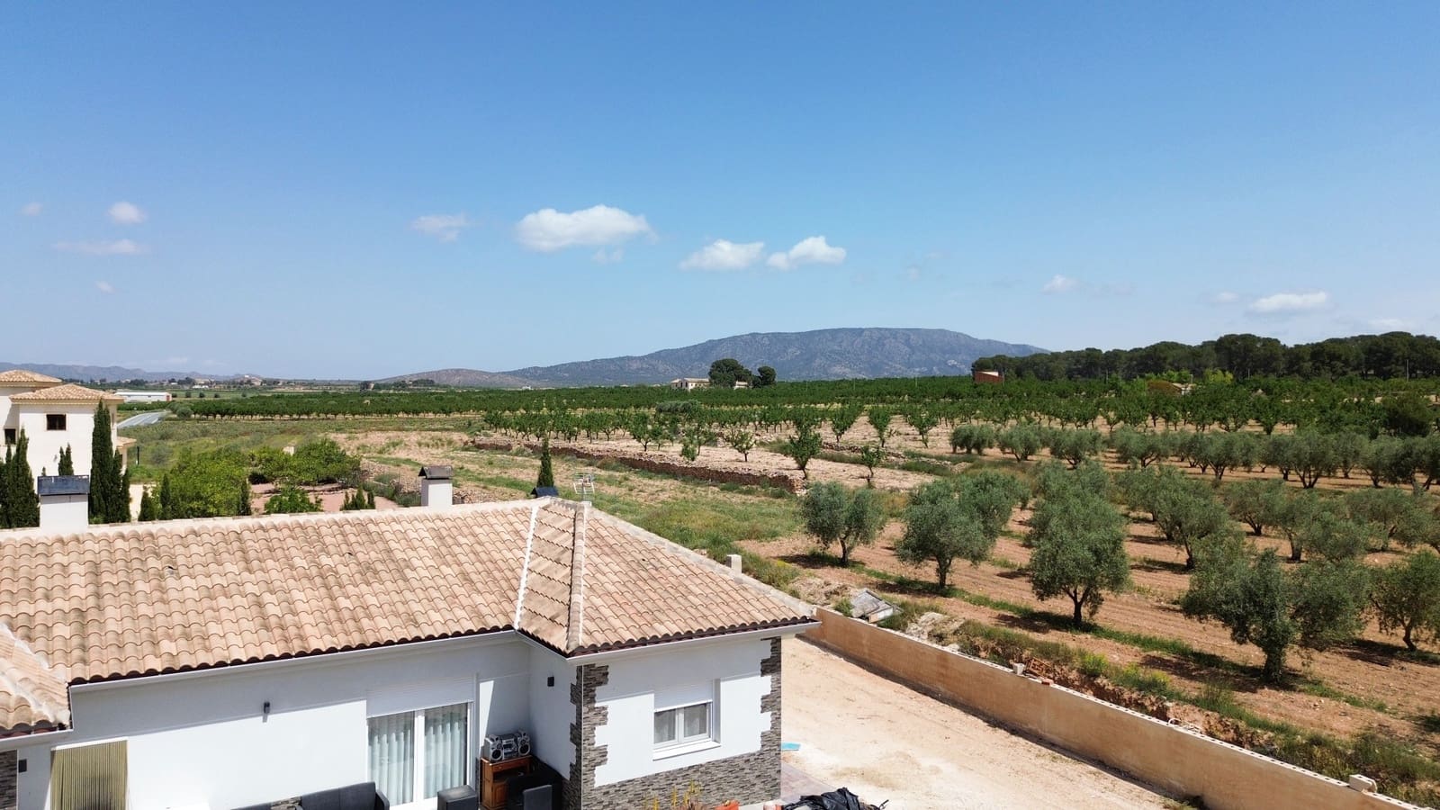 4 bedroom Villa for sale in Pinoso - € 420,000 (Ref: 9817000)