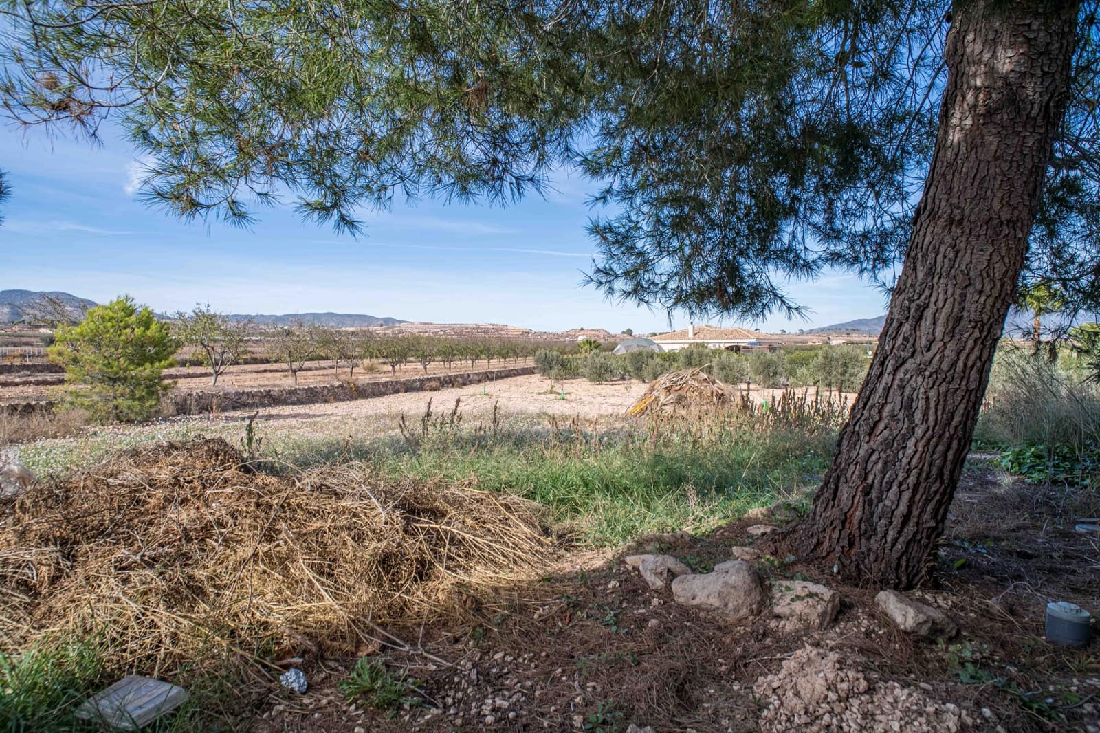 3 camera da letto Casa in vendita in Pinoso - 149.000 € (Rif: 9852148)