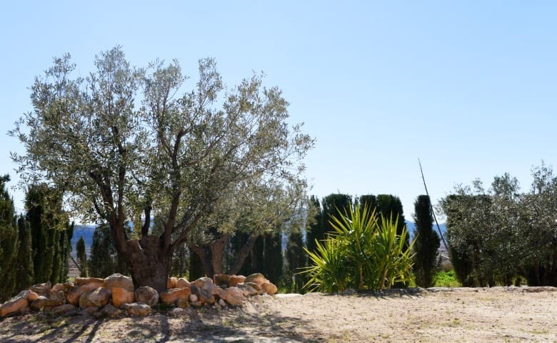 4 soveværelse Finca/Landehus til salg i La Alberquilla - € 197.000 (Ref: 9852152)