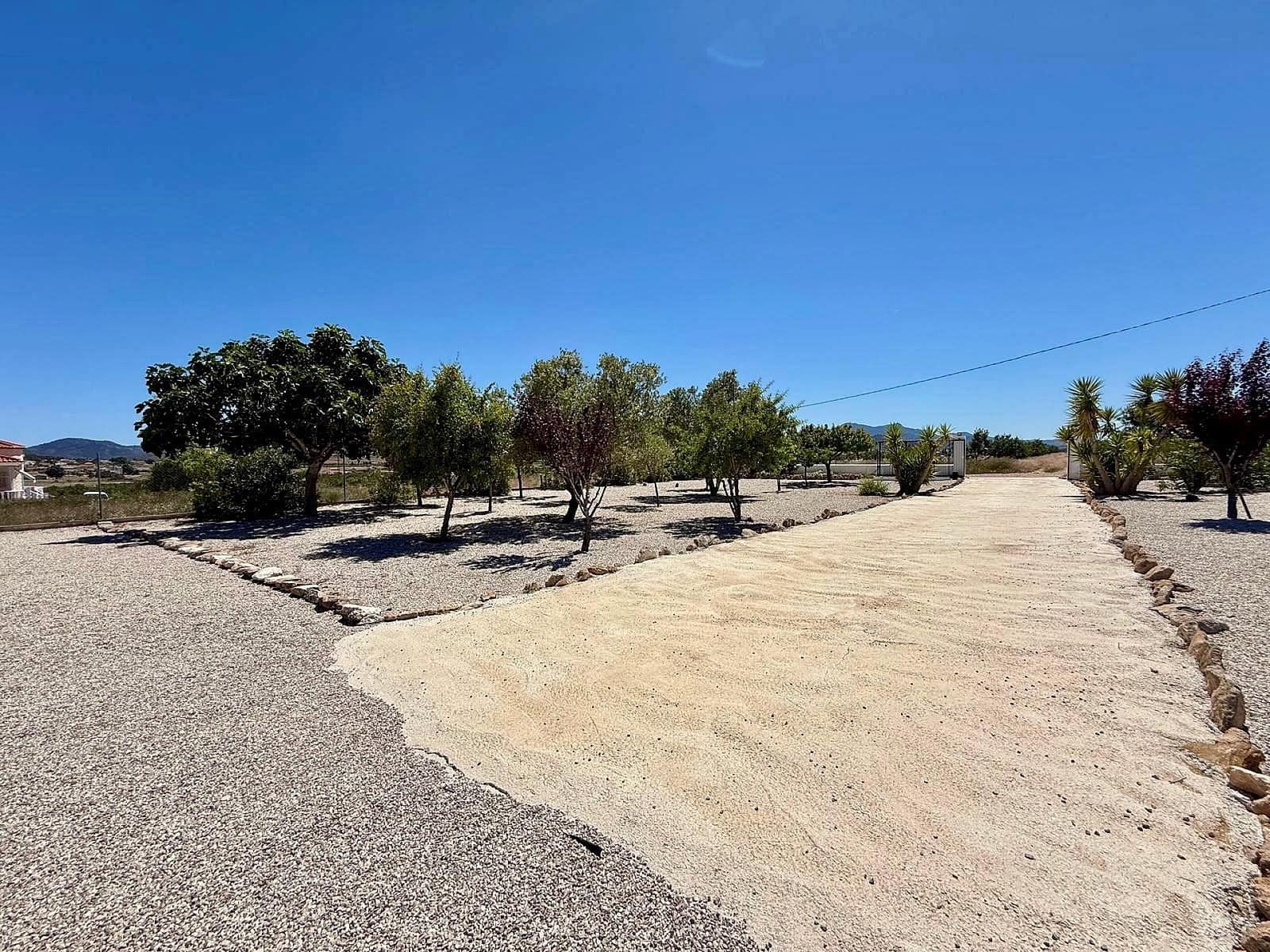 3 bedroom Villa for sale in Jumilla with pool - € 350,000 (Ref: 9854924)
