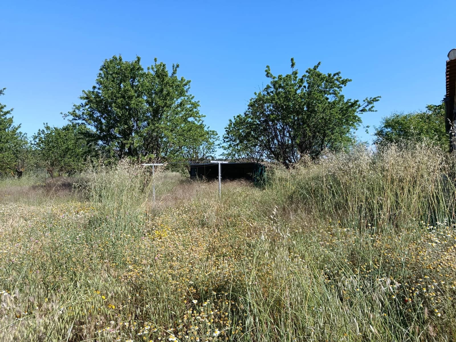 2 bedroom Finca/Country House for sale in Teresa de Cofrentes - € 119,995 (Ref: 9858564)