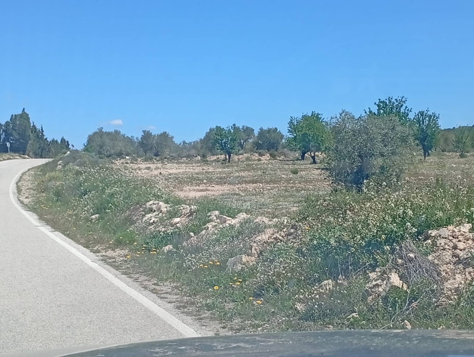 Terreno Não Urbanizado para venda em Salinas - 45 000 € (Ref: 9858565)