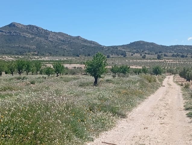 Terreno Não Urbanizado para venda em Salinas - 45 000 € (Ref: 9858565)