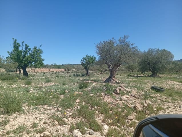Terreno Não Urbanizado para venda em Salinas - 45 000 € (Ref: 9858565)