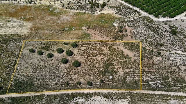Ubebygd land til salgs i Salinas - € 75 000 (Ref: 9872955)