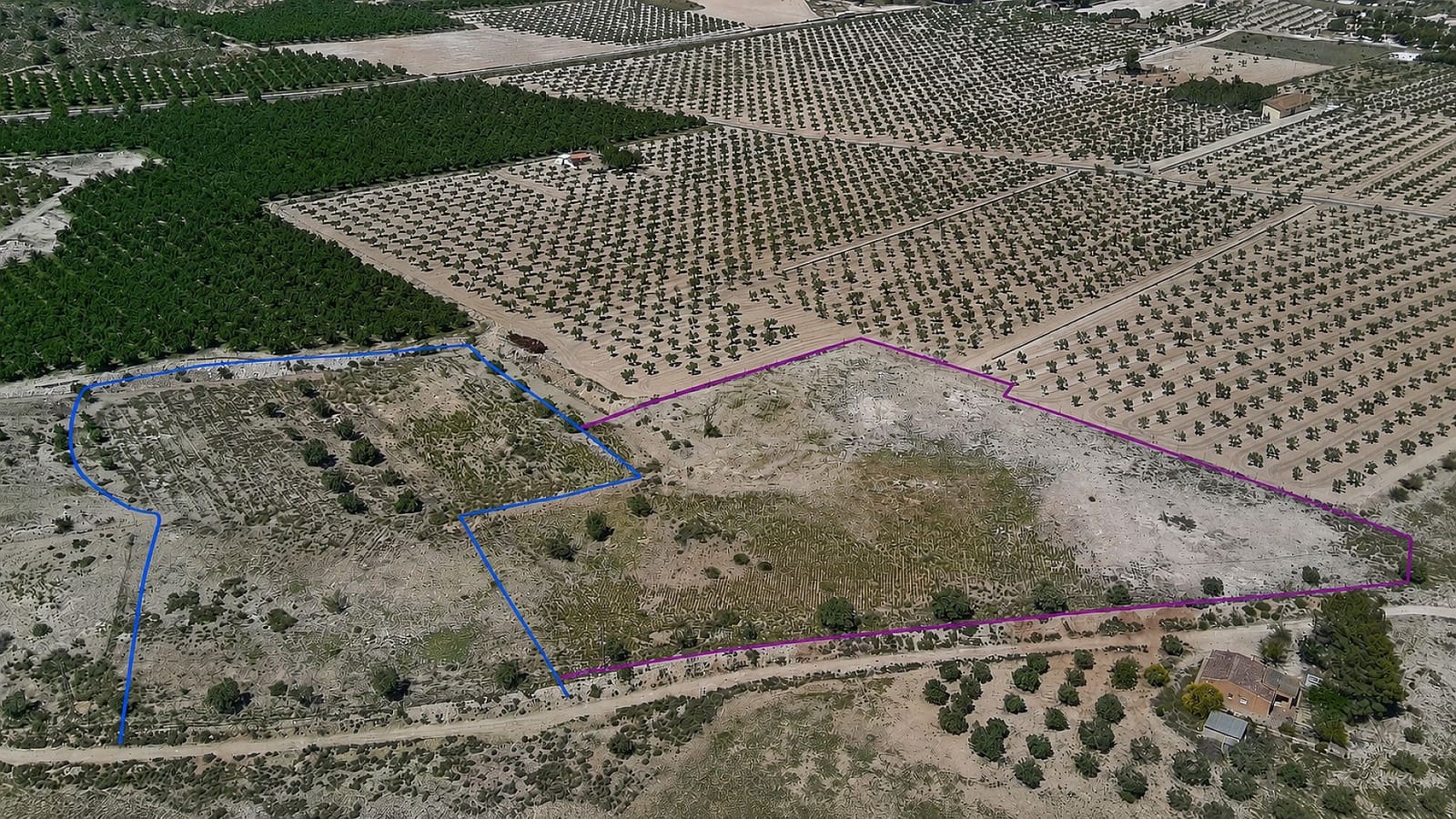 Ubebygd land til salgs i Salinas - € 75 000 (Ref: 9872955)