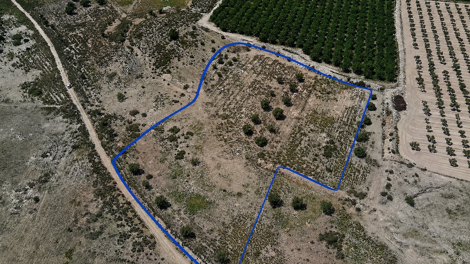 Ubebygd land til salgs i Salinas - € 75 000 (Ref: 9872955)