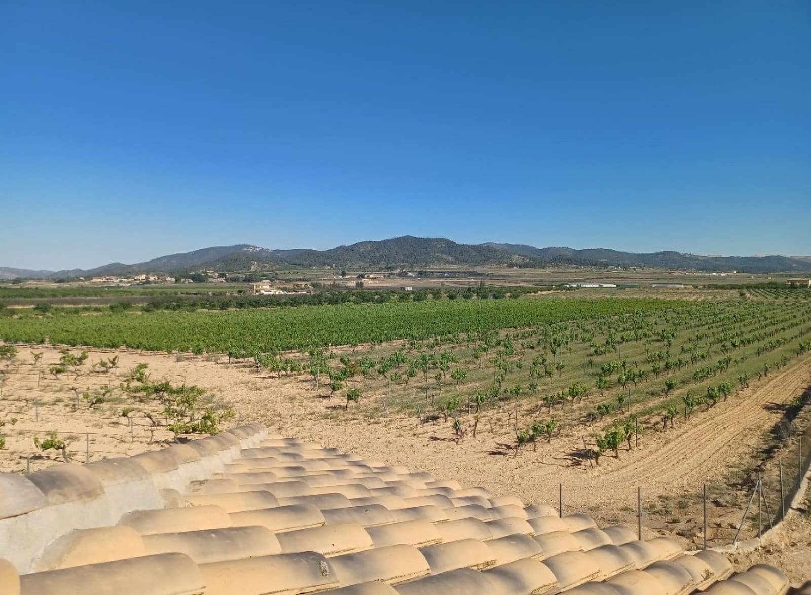 5 bedroom Finca/Country House for sale in Pinoso with pool garage - € 549,995 (Ref: 9884013)