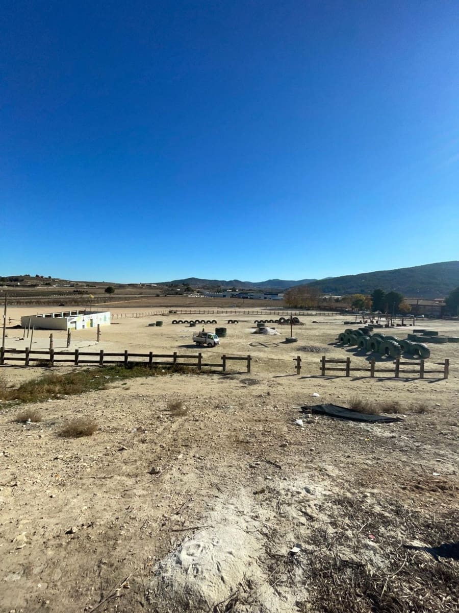 Commercial for sale in Pinoso - € 160,000 (Ref: 9891687)