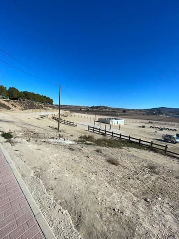 Commercial for sale in Pinoso - € 160,000 (Ref: 9891687)