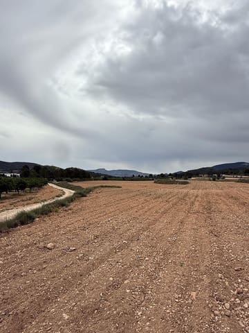 Undeveloped Land for sale in Culebron, Pinoso - € 99,000 (Ref: 9893702)