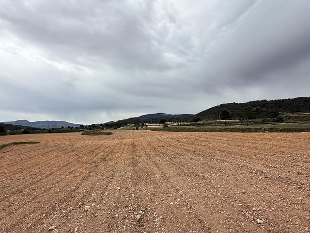 Undeveloped Land for sale in Culebron, Pinoso - € 99,000 (Ref: 9893702)