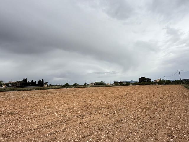 Undeveloped Land for sale in Culebron, Pinoso - € 99,000 (Ref: 9893702)