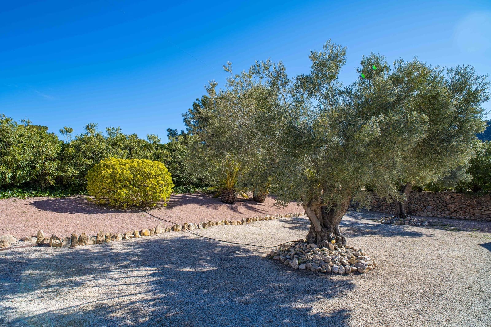 3 bedroom Villa for sale in Abanilla with pool - € 395,000 (Ref: 9894934)
